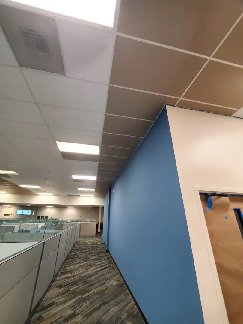 A blue wall in an office with a white ceiling.
